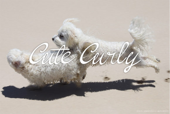 Cute Curly Font