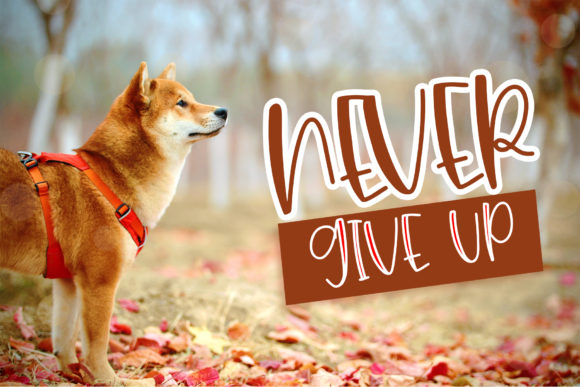Cutie Brown Font Poster 2