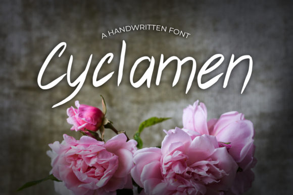 Cyclamen Font Poster 1