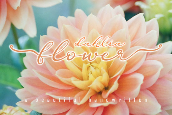 Dahlia Flower Font