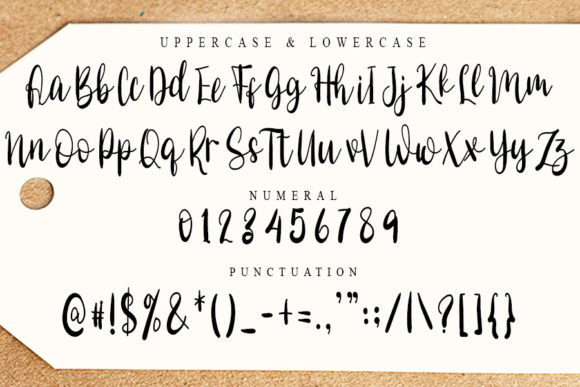 Daily Danissa Font Poster 6