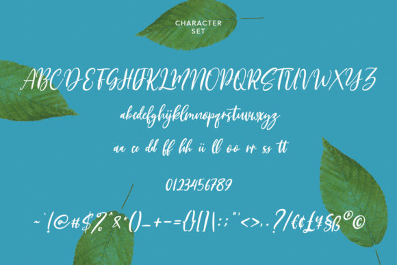 Dailytrust Script Font Poster 8