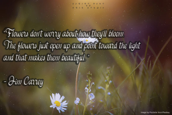 Daisy Flowers Font Poster 2
