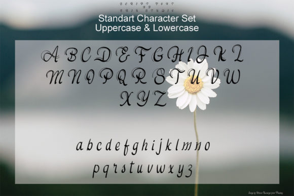 Daisy Flowers Font Poster 3