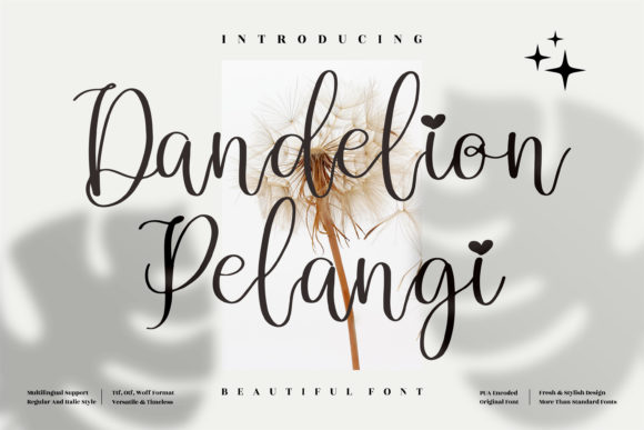 Dandelion Pelangi Font Poster 1