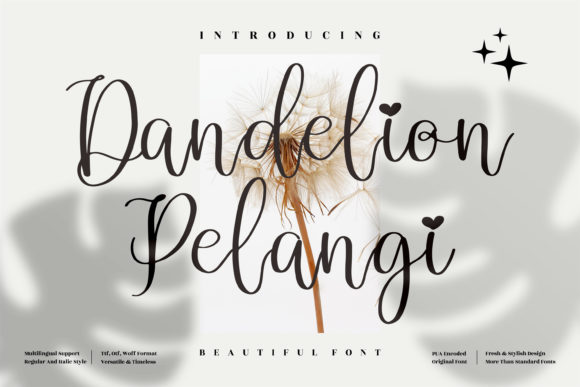 Dandelion Pelangi Font