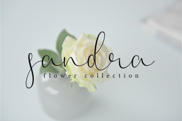 Dandellions Font Poster 4