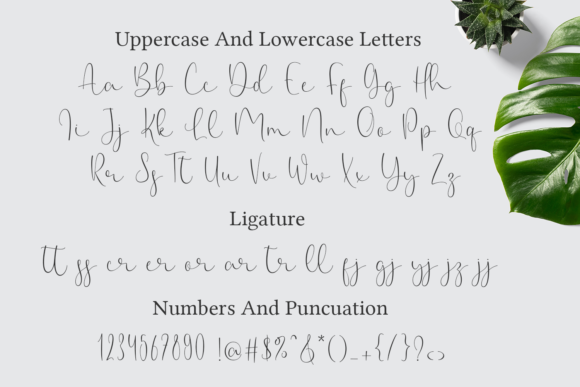 Dandellions Font Poster 5