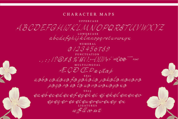 Dayssies Font Poster 5