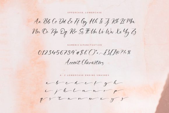 Delmona Font Poster 6