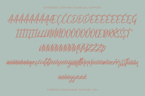 Deloissta Font Poster 7
