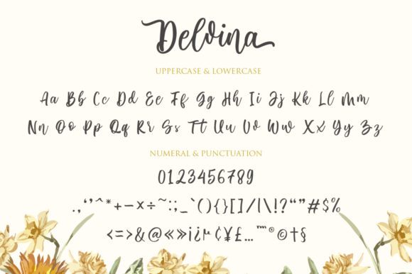 Delvina Font Poster 10