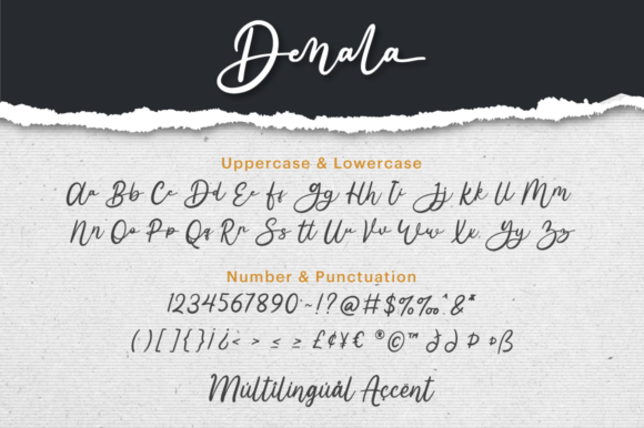 Denala Font Poster 6
