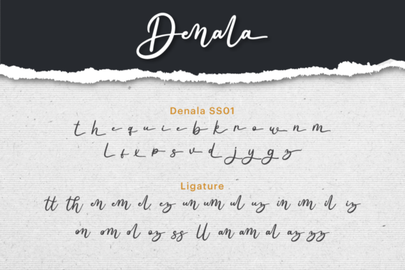Denala Font Poster 7
