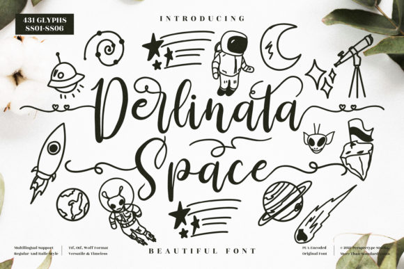Derlinata Space Font Poster 1