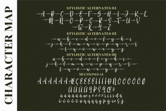 Derlinata Space Font Poster 4