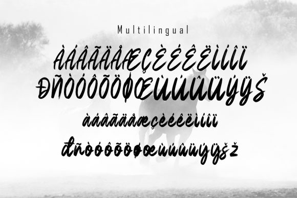 Desheer Font Poster 6