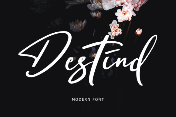 Destind Font Poster 1