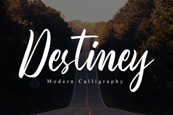 Destiney Font Poster 1