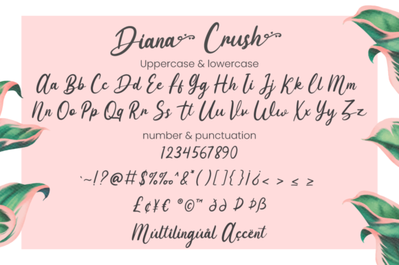 Diana Crush Font Poster 7