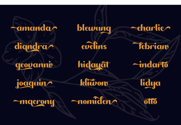 Diandra Font Poster 7