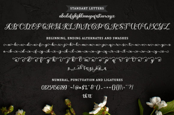 Diary Angelique Font Poster 7
