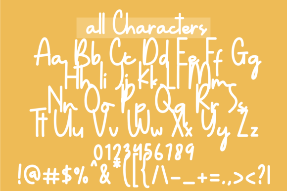 Different Sunset Font Poster 6