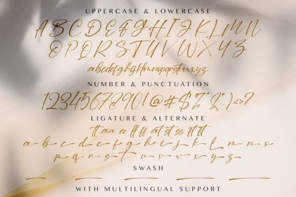 Dilan Font Poster 14