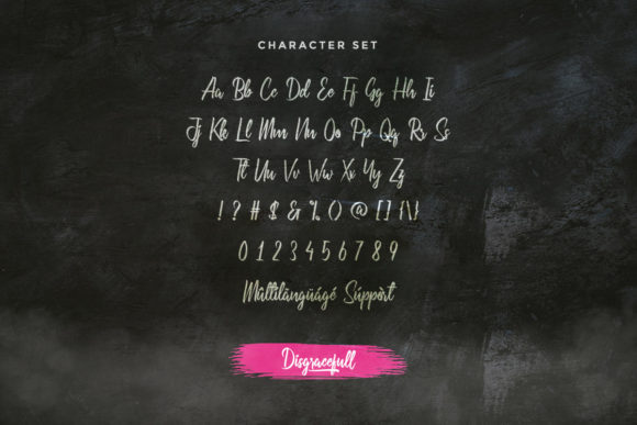 Disgracefull Font Poster 4