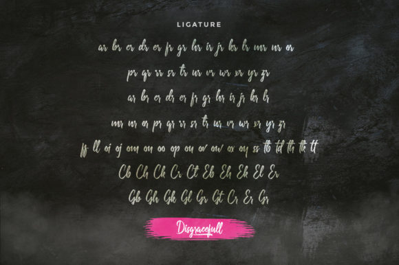 Disgracefull Font Poster 6