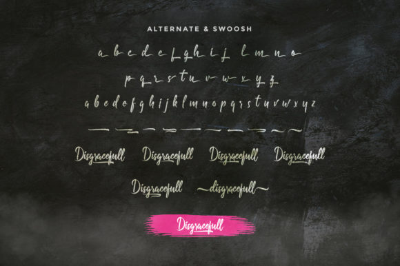 Disgracefull Font Poster 8