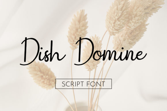 Dish Domine Font Poster 1