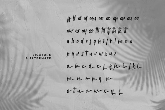Diswatika Font Poster 6