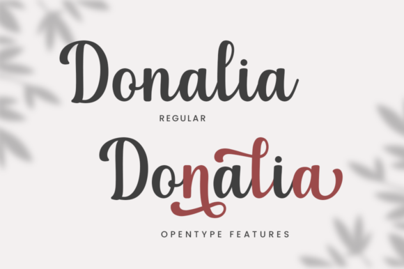 Donalia Font Poster 7