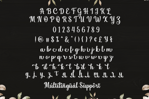 Donalia Font Poster 8
