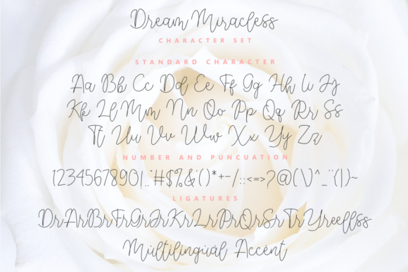 Dream Miracless Font Poster 11
