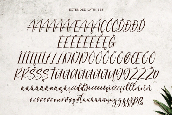 Dreamotions Font Poster 11