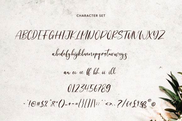 Dreamotions Font Poster 8