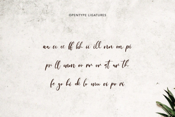 Dreamotions Font Poster 9