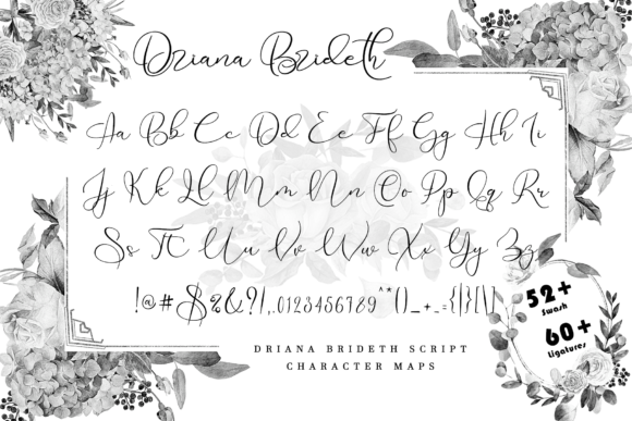 Driana Font Poster 8