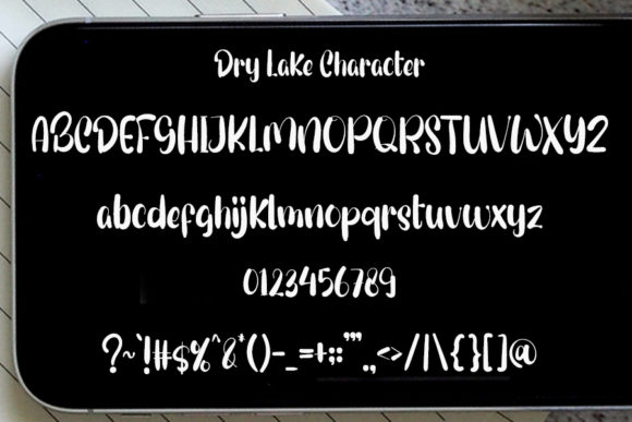 Dry Lake Font Poster 5