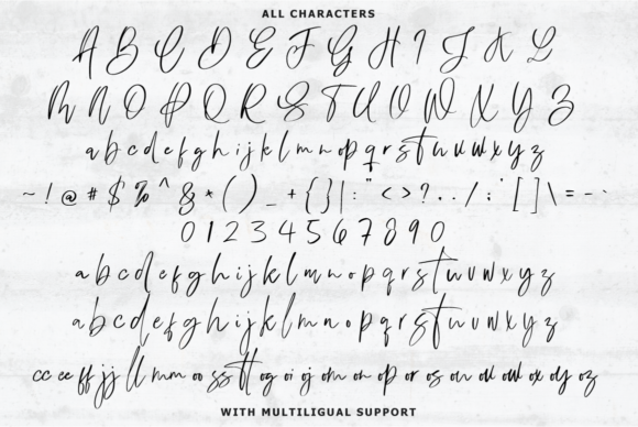 Dublishine Font Poster 11