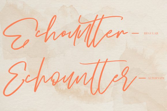 Echountter Font Poster 2