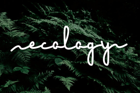 Ecology Font Poster 1