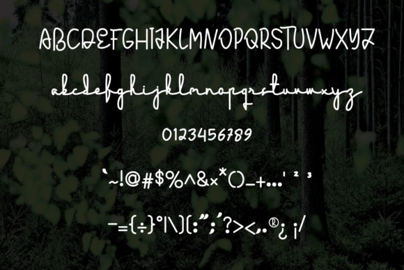 Ecology Font Poster 3