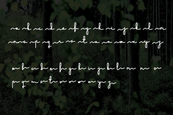 Ecology Font Poster 4