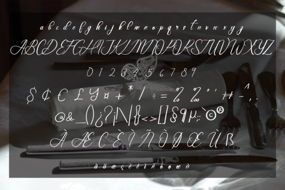 Elegant Wedding Font Poster 6