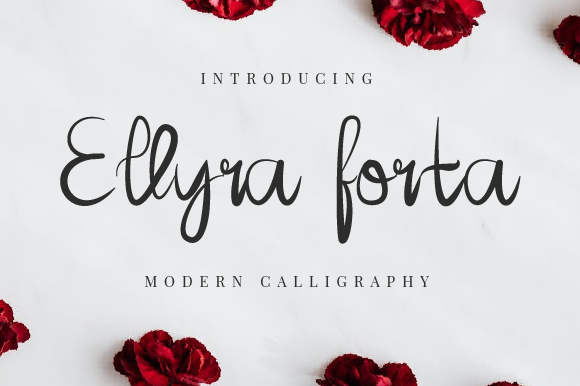 Ellyra Forta Font Poster 1