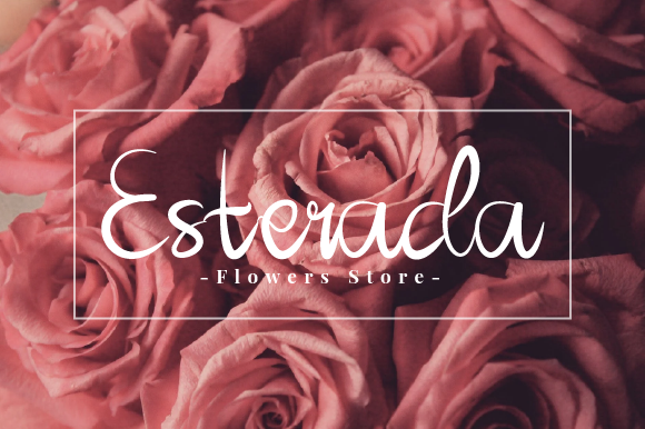 Ellyra Forta Font Poster 4