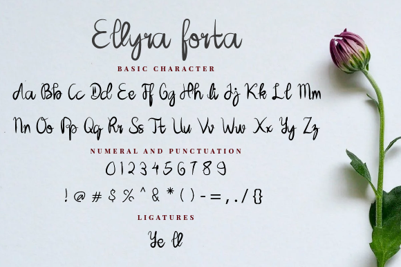 Ellyra Forta Font Poster 6